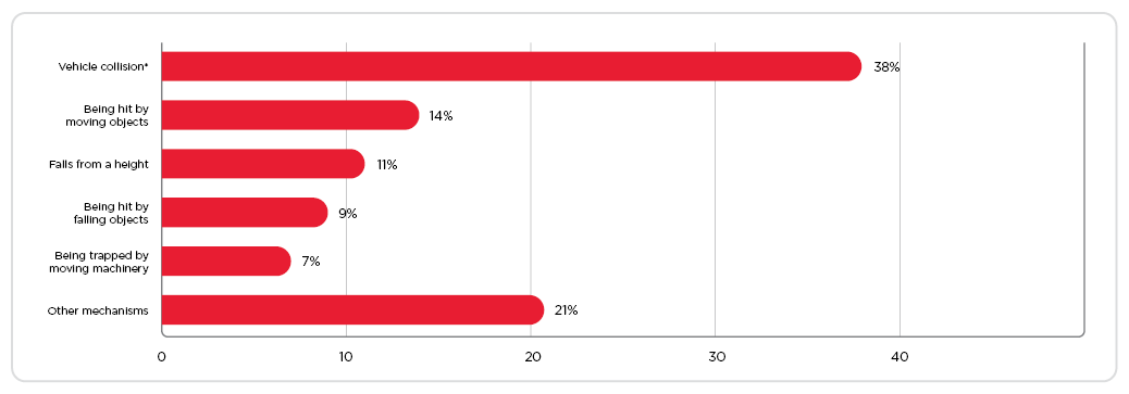 Worker fatalities by mechanism of incident, 2021 image