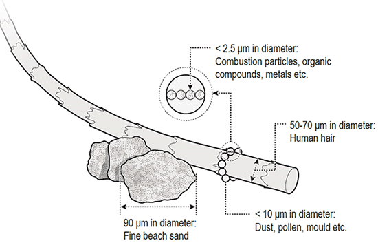 Dust particle sizes (from Mining and Quarrying Occupational Health and Safety Committee)