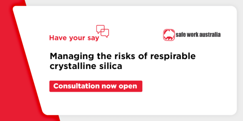 Consultation Regulation Impact Statement