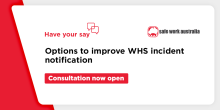 options to improve WHS incident notification