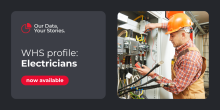 WHS profile electricians now published